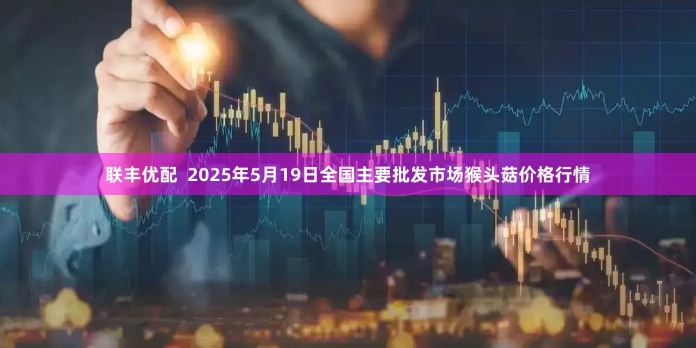 联丰优配  2025年5月19日全国主要批发市场猴头菇价格行情