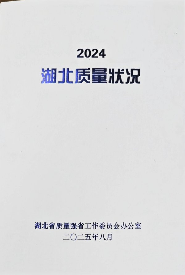 益上线 湖北刚发布的这本白皮书，“质量”特别高！
